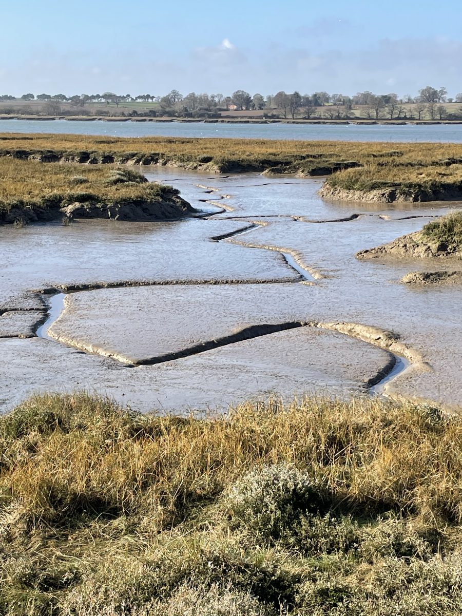 The River Deben. Photo showing the river at low tide. Photographer: Jennifer Phillips